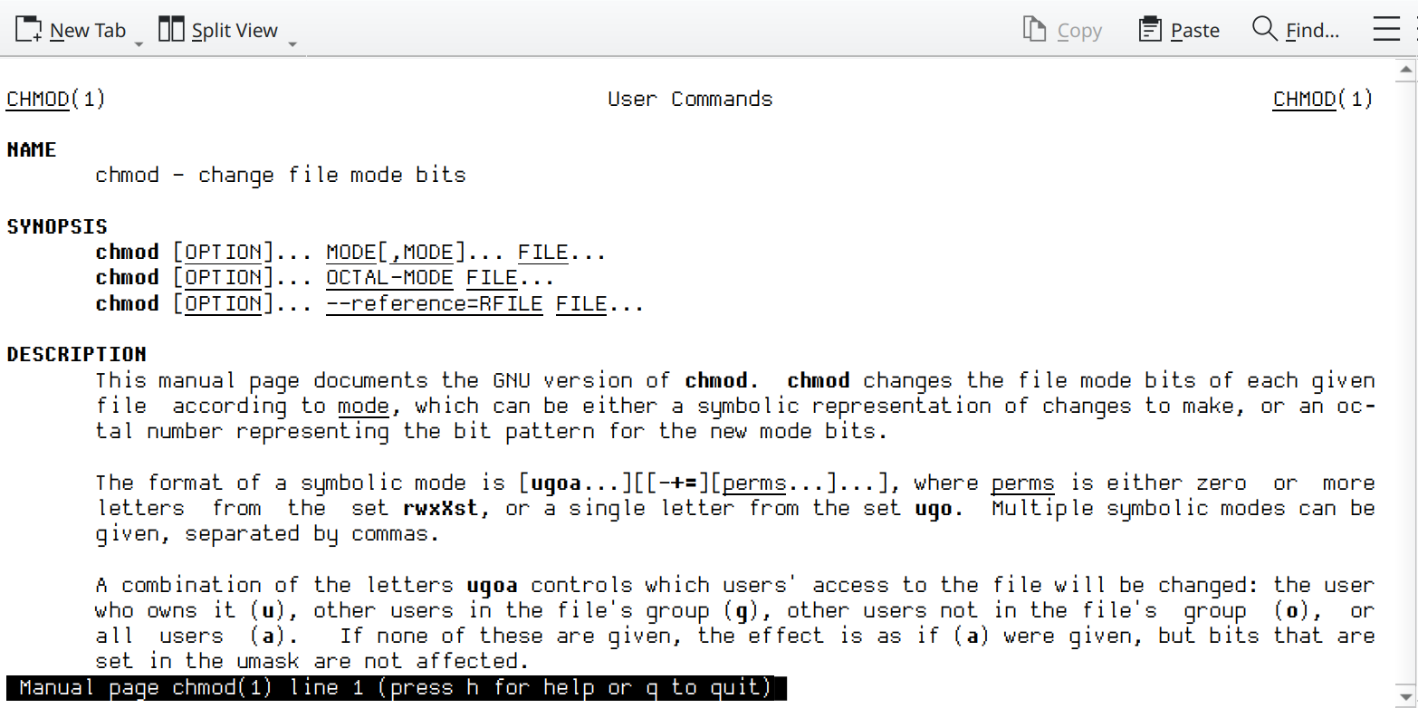 Permisos correctos para wordpress